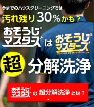 お掃除マスターズ